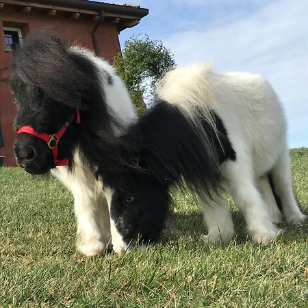 B&B Cà Bianca dell'Abbadessa San Lazzaro di Savena Exterior foto