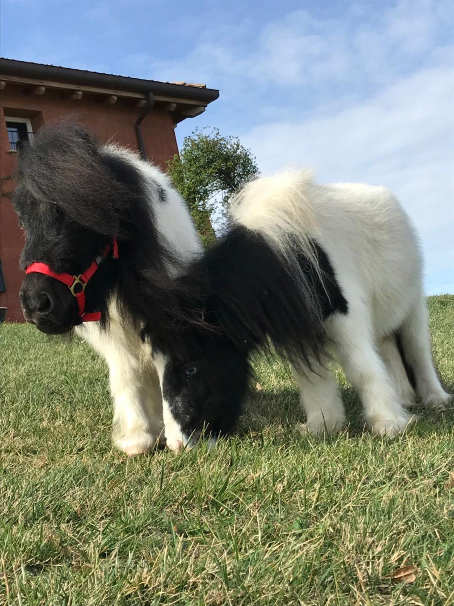 B&B Cà Bianca dell'Abbadessa San Lazzaro di Savena Exterior foto
