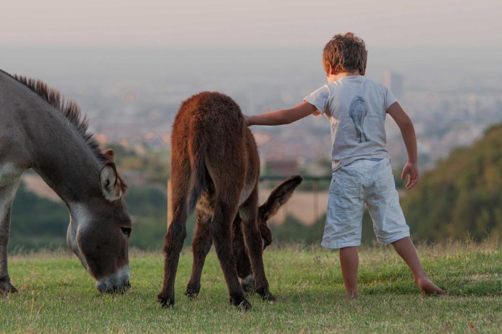 B&B Cà Bianca dell'Abbadessa San Lazzaro di Savena Exterior foto