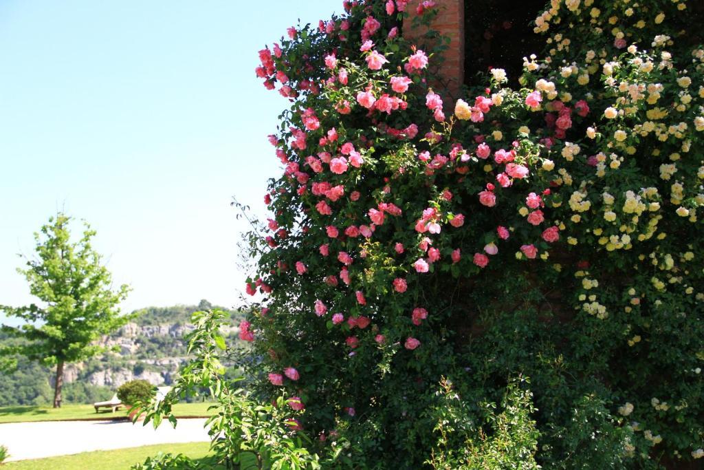 B&B Cà Bianca dell'Abbadessa San Lazzaro di Savena Exterior foto