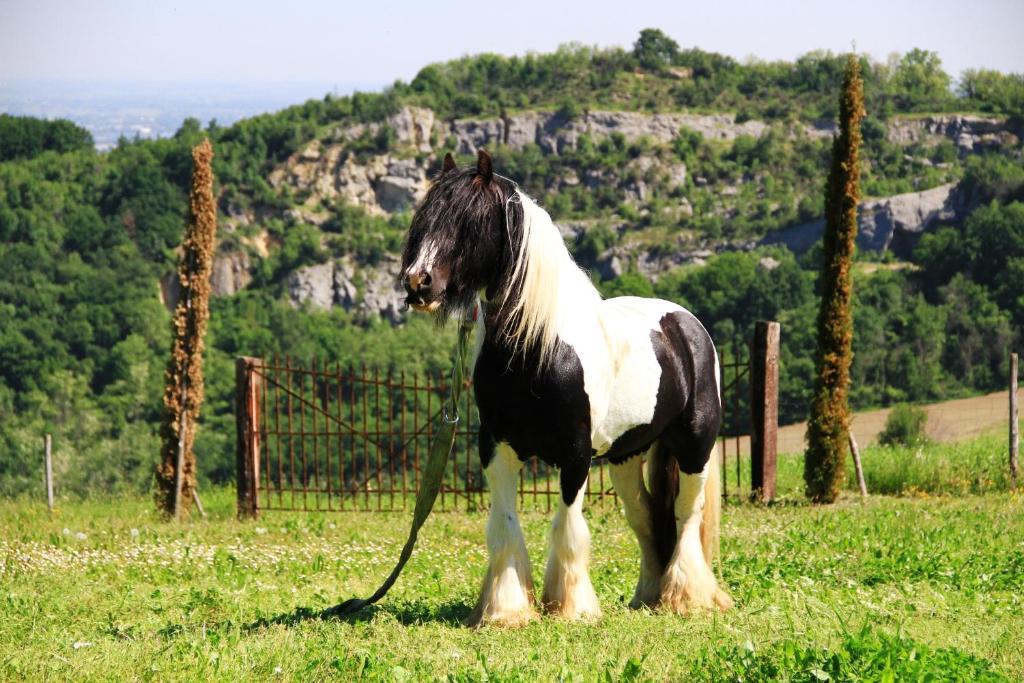 B&B Cà Bianca dell'Abbadessa San Lazzaro di Savena Exterior foto