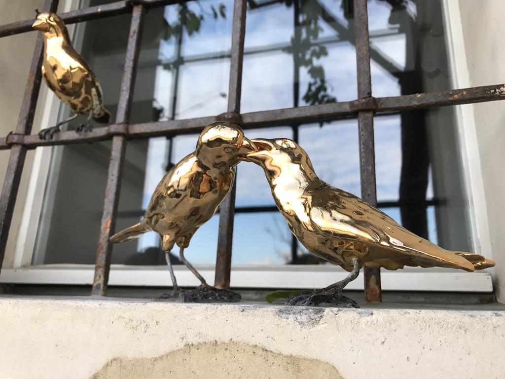 B&B Cà Bianca dell'Abbadessa San Lazzaro di Savena Exterior foto