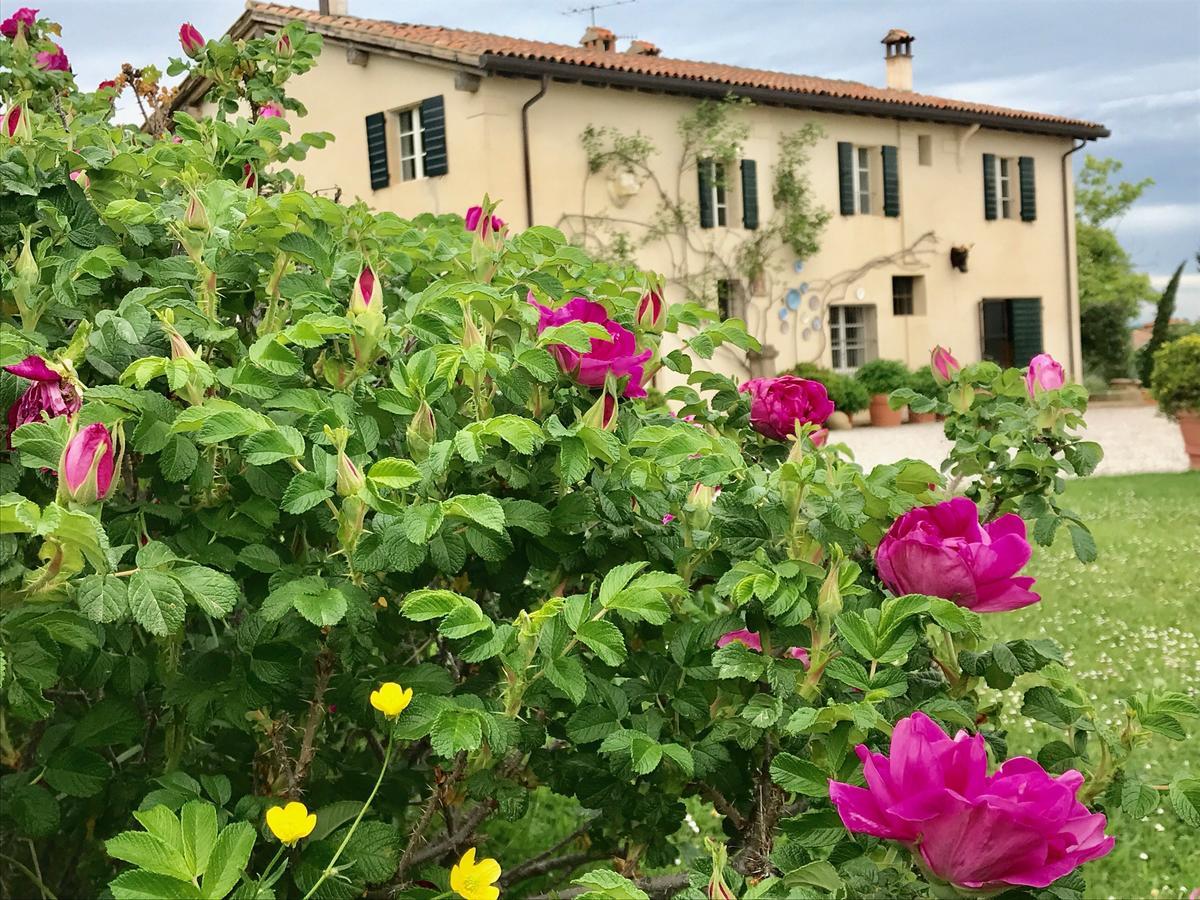 B&B Cà Bianca dell'Abbadessa San Lazzaro di Savena Exterior foto